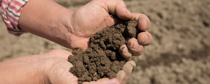 Soil Health on Farms